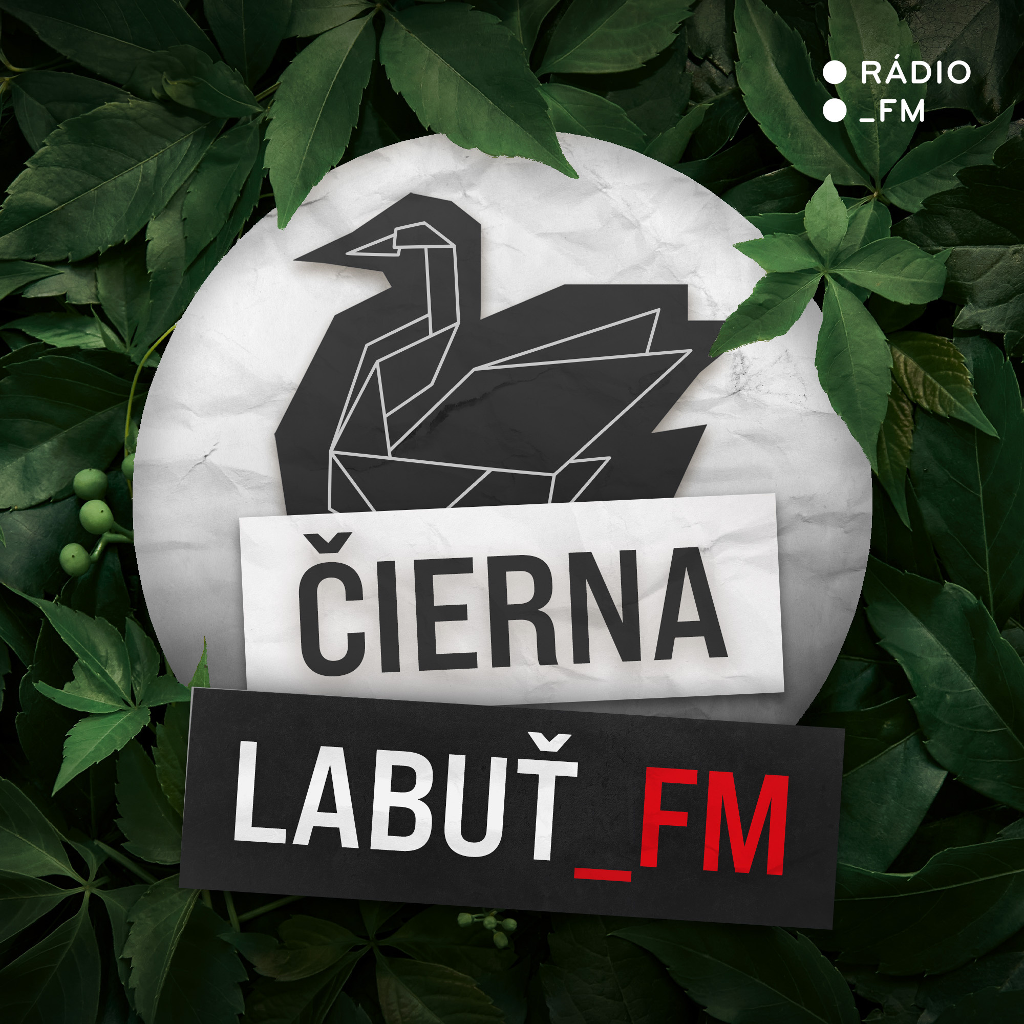 Čierna labuť_FM
