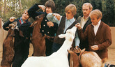 The Beach Boys: Album 