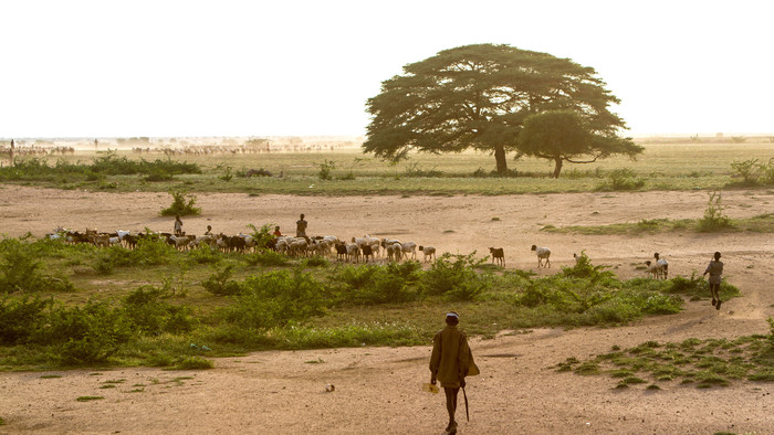 Trip_to_Kibish_Turkana_065.jpg