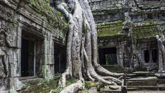 Angkor Wat (1).jpg