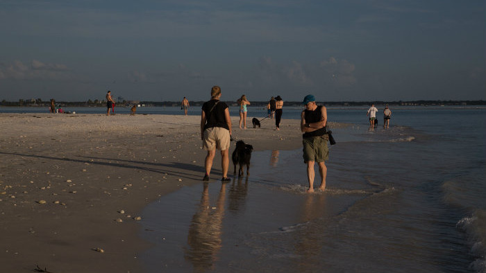 dogBeach_FL15-1022.jpg