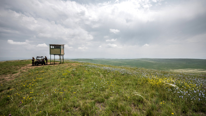 Zelená hranica s Azerbajdžanom.jpg