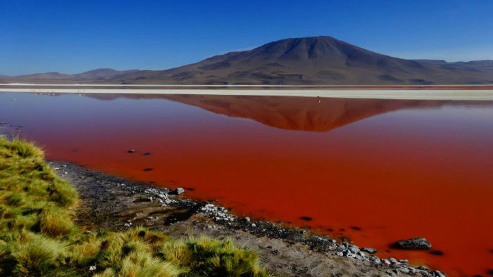 Altiplano – farebné lagúny, soľná púšť a jazero Titicaca