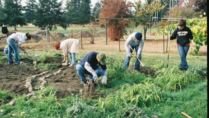 Salatbeete zwischen Plattenbauten: der Gemeinschaftsgarten von Rožňava