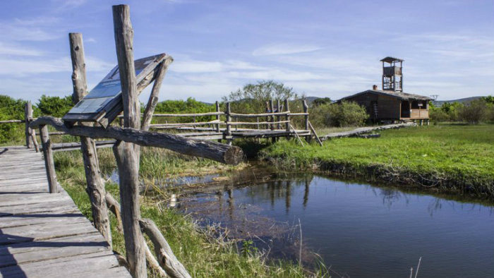 ornitologicky-naucny-chodnik-birdwatching.jpg