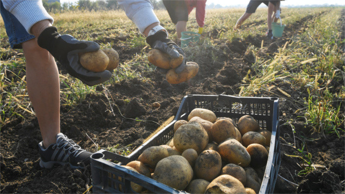 Probleme der jungen Landwirte