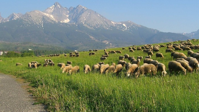 V premiérovej Farmárskej revue sa vyberieme aj vysoko do hôr