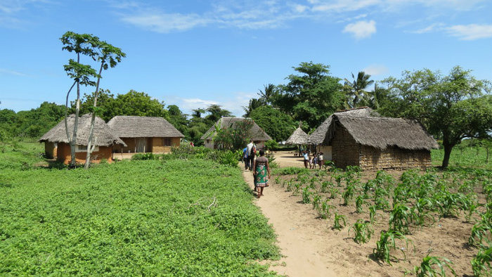 Farma na ostrove.JPG