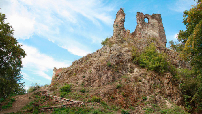 Burg Šášov 