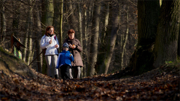 Waldspaziergang durch Zelezna Studnicka