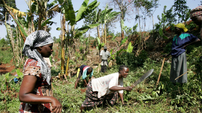 Central European countries to help farmers in Kenya