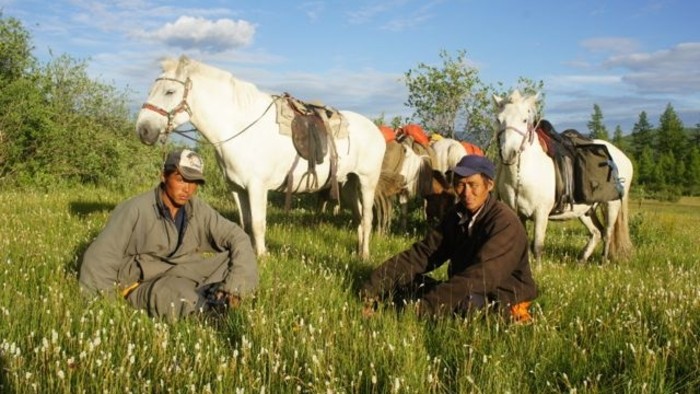 Mongolsko53.jpg