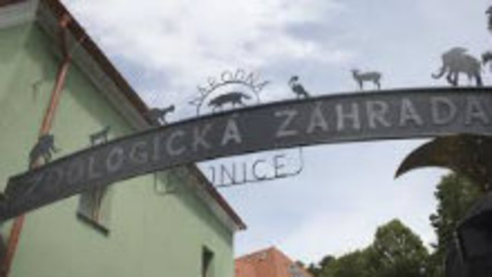 Zlatý poklad Národnej zoo Bojnice