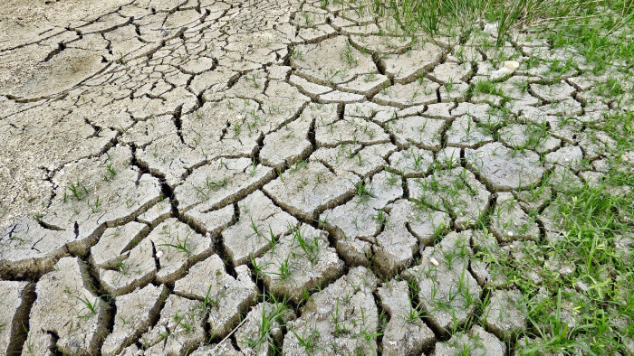 Cezhraničný projekt na tému klimatických zmien 