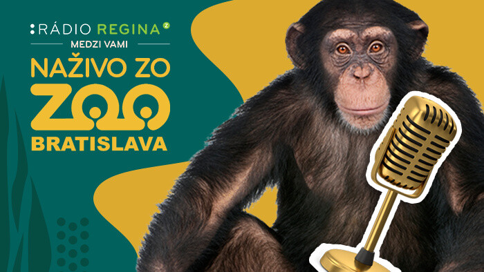 To najlepšie zo živého vysielania z areálu ZOO v Bratislave