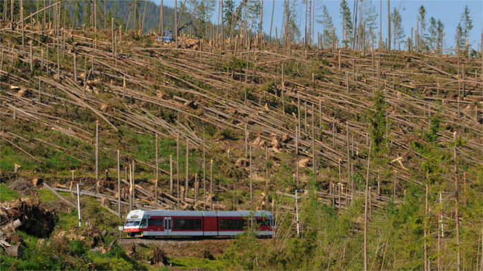 Twenty years since biggest calamity in Tatras commemorated 