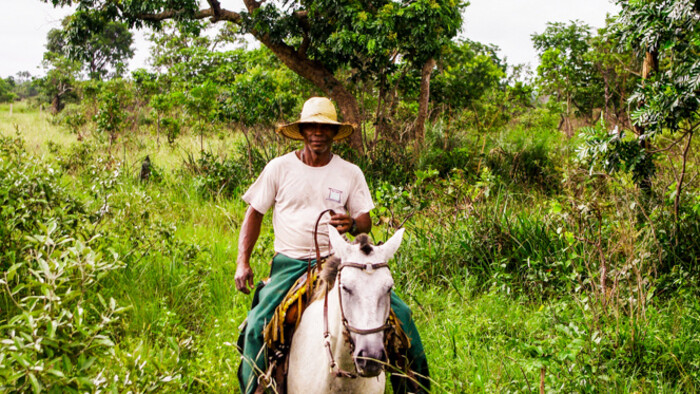 PANTANAL NARODNY PARK.jpg