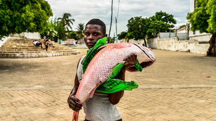 RTVS ILHA DO MOZAMBIQUE (1 of 1) (2).jpg