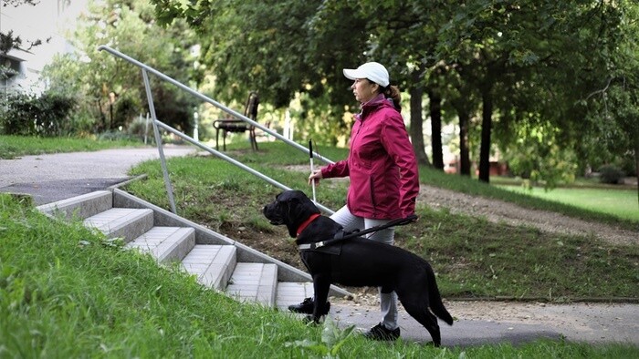 Štvornohé oči, ktoré pomáhajú