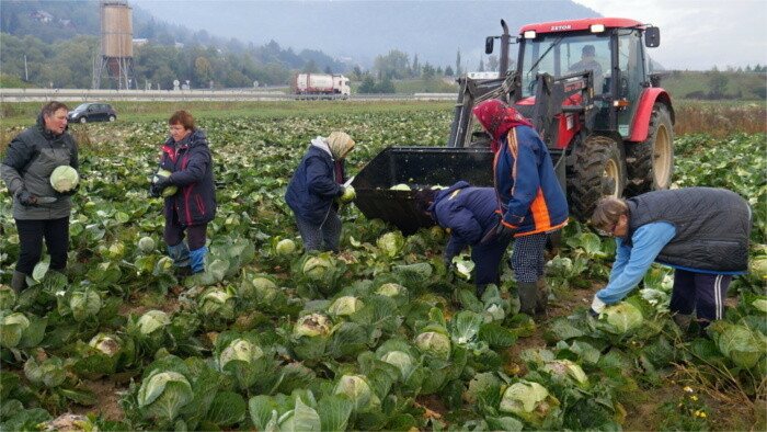 Abgabenerleichterungen für Landwirte und die Lebensmittelpreise