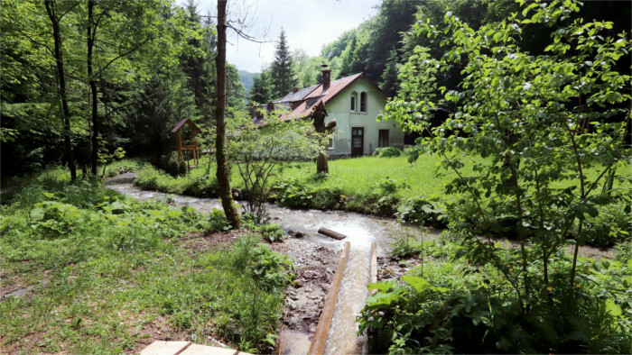 Près de 40 mille arbres plantés par l’office des Forêts de Banská Bystrica