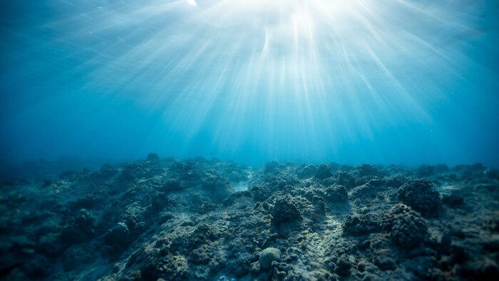 Experiment na zníženie kyslosti oceánov