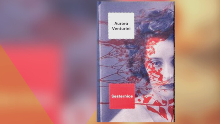 Literárna recenzia: Sesternice