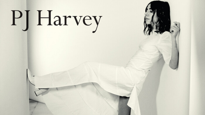 Miniprofil: PJ Harvey / I Inside the Old Year Dying