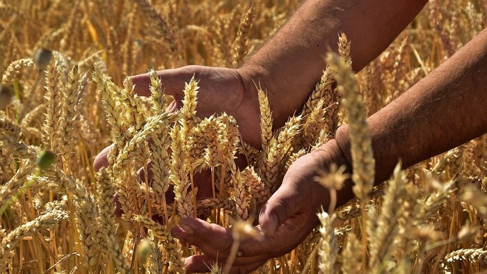 K veci: Slovenskí farmári ohlásili štrajk