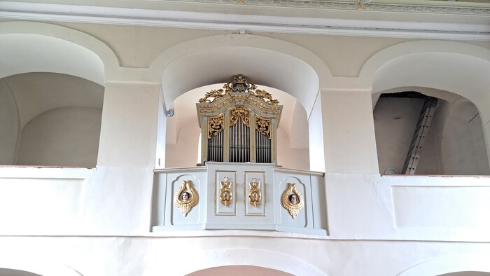 Martin Bako, organista a organár