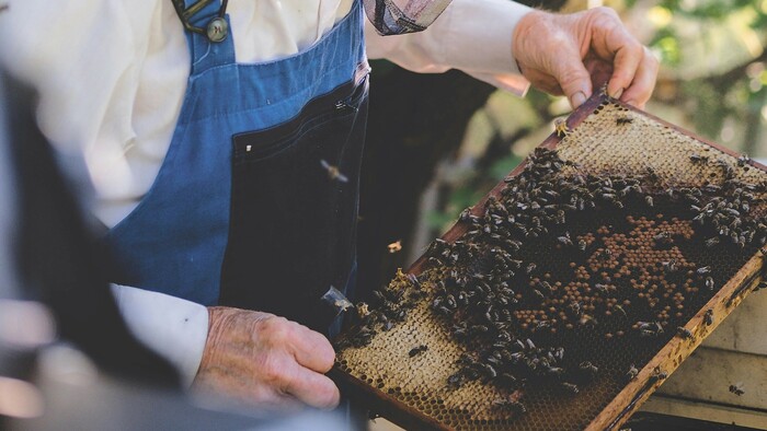 Výroba včelích úľov a medu | Komu sa nelení