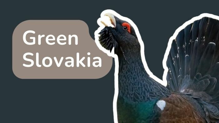 Green Slovakia: Živica teaches and Balaž warns of habitat collapse 