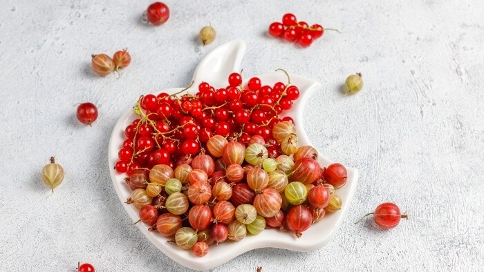 Bobuľové ovocie – zaručený prísun zdravia 