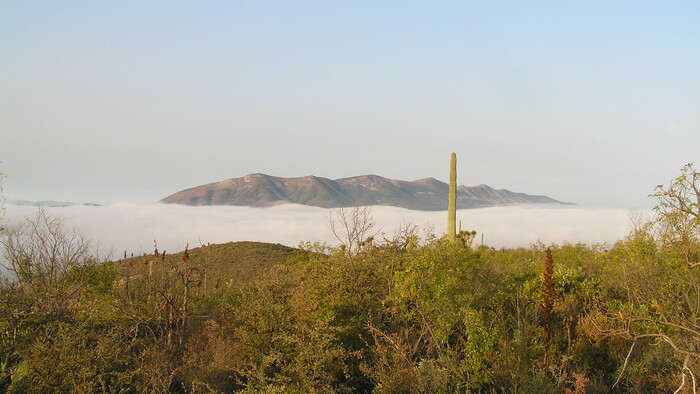 15. Sierra de Tentzo.JPG