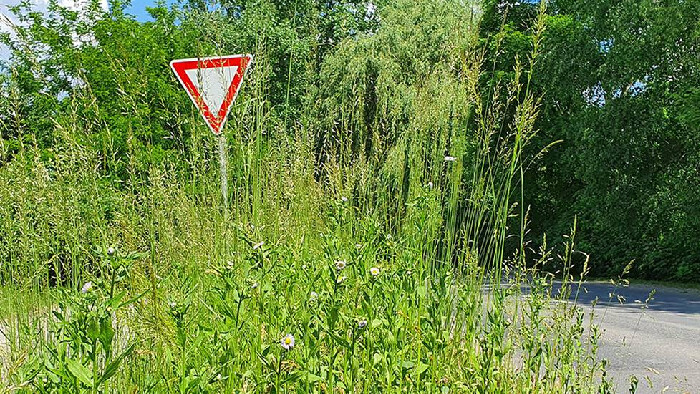 Vyššia tráva na sídliskách však má aj svoje výhody