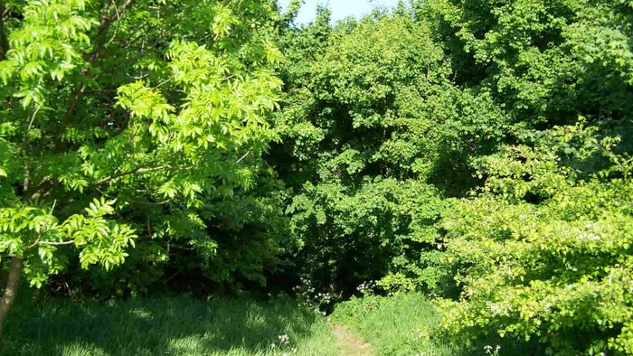 Spoznajte naše jedinečné prírodné bohatstvo, aké nenájdete nikde inde na svete