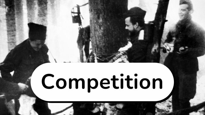 Competition SNP 80 – Pt. 3