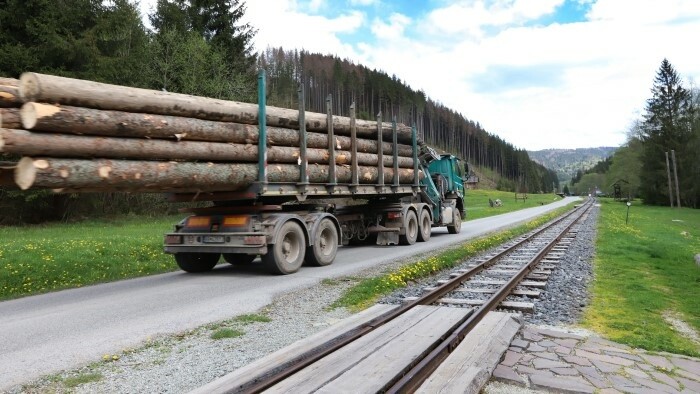 Proteste gegen Holzeinschlag in der Niederen Tatra