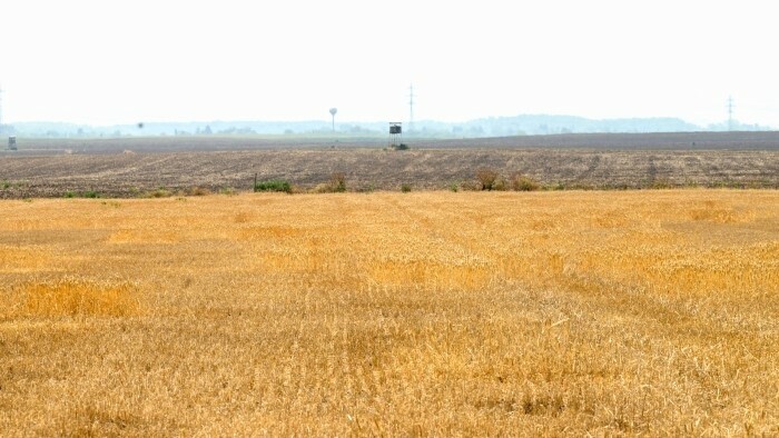 Des fonds pour le secteur agro-industriel