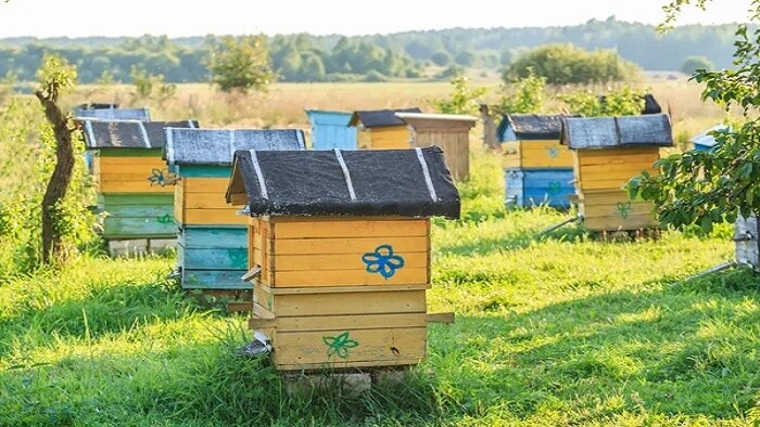 Včelia farma Okrúhle