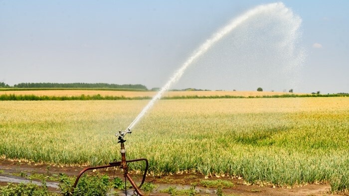 Los agricultores, acosados por un calor y una sequía interminables