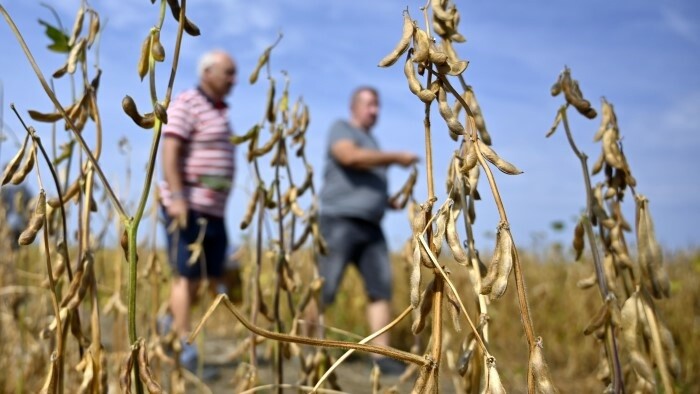 La Journée nationale du soja a souligné l'importance de cette culture