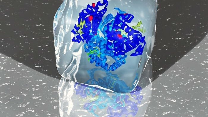 Elastický model DNA