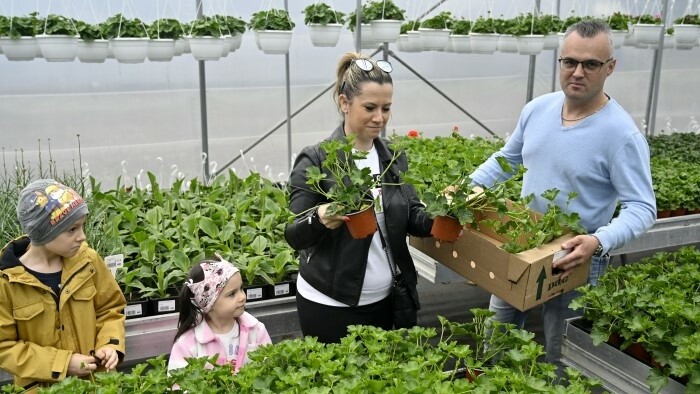 En Slovaquie, la différence de rémunération entre les femmes et les hommes au travail est supérieure à 15 %