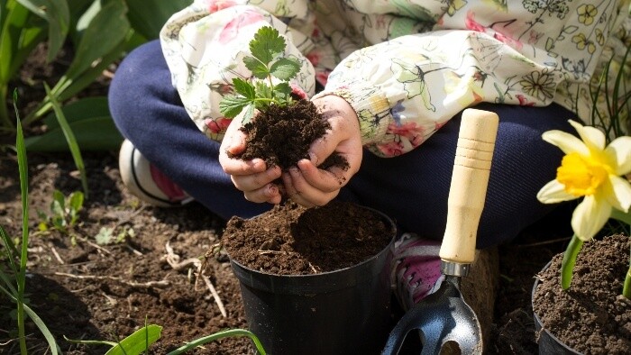 V Topoľčanoch sa mestská fontána premenila na učebňu prírodovedy