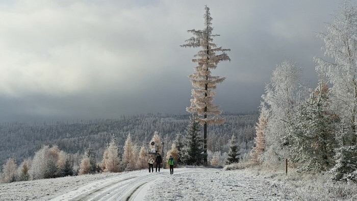 20 années depuis la tempête dévastatrice