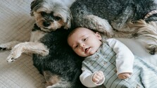 dieťa a pes v rodine.jpg