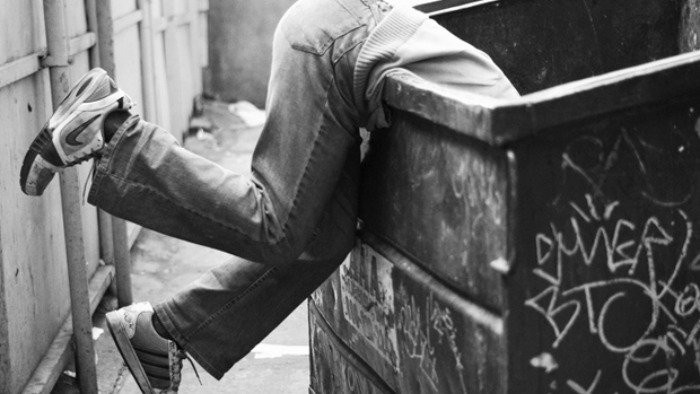 dumpster-dive-1-