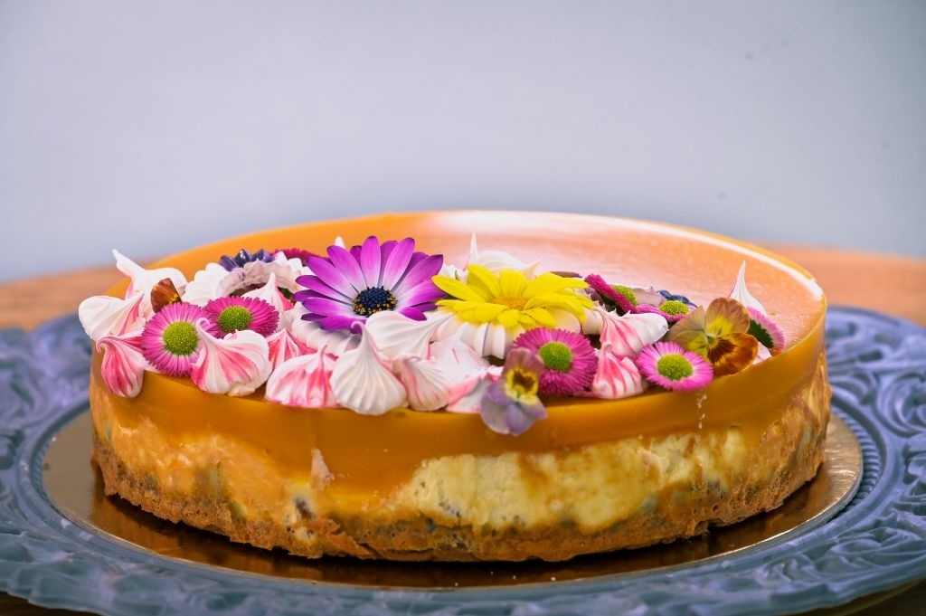 Recept na cheesecake s mangovo-pomarančovým želé zo šou Pečie celé Slovensko.