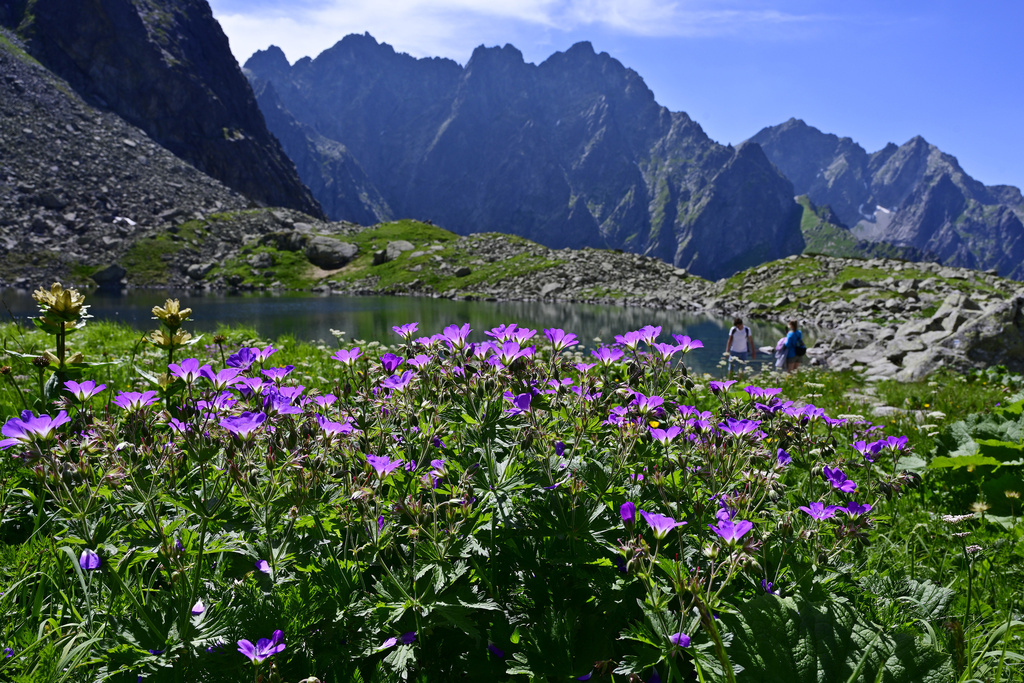 06_07_2022_Bielovodska_dolina_Vys_Tatry_14884077_TASR.jpg